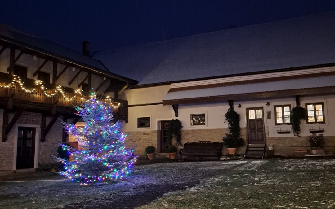 29. listopadu – ROZSVÍCENÍ VÁNOČNÍHO STROMU & hovězí maso